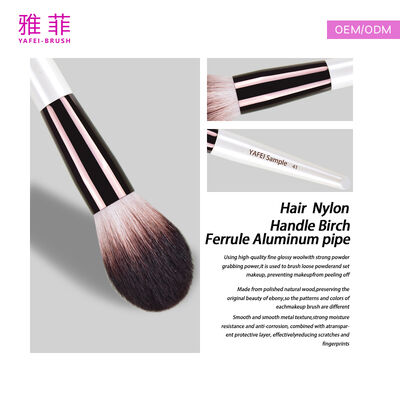 Professional Makeup Brush Set including multiple brushes for face eyes and lips suitable for makeup artists and beauty salons