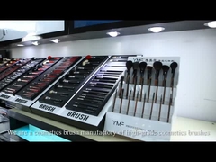 Company's introduction