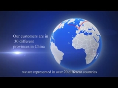 Company's introduction