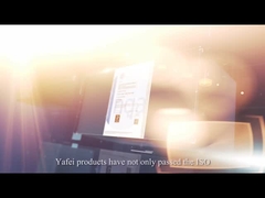 Company's introduction