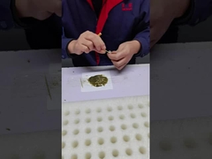 Durable Makeup Brushes Easy To Clean